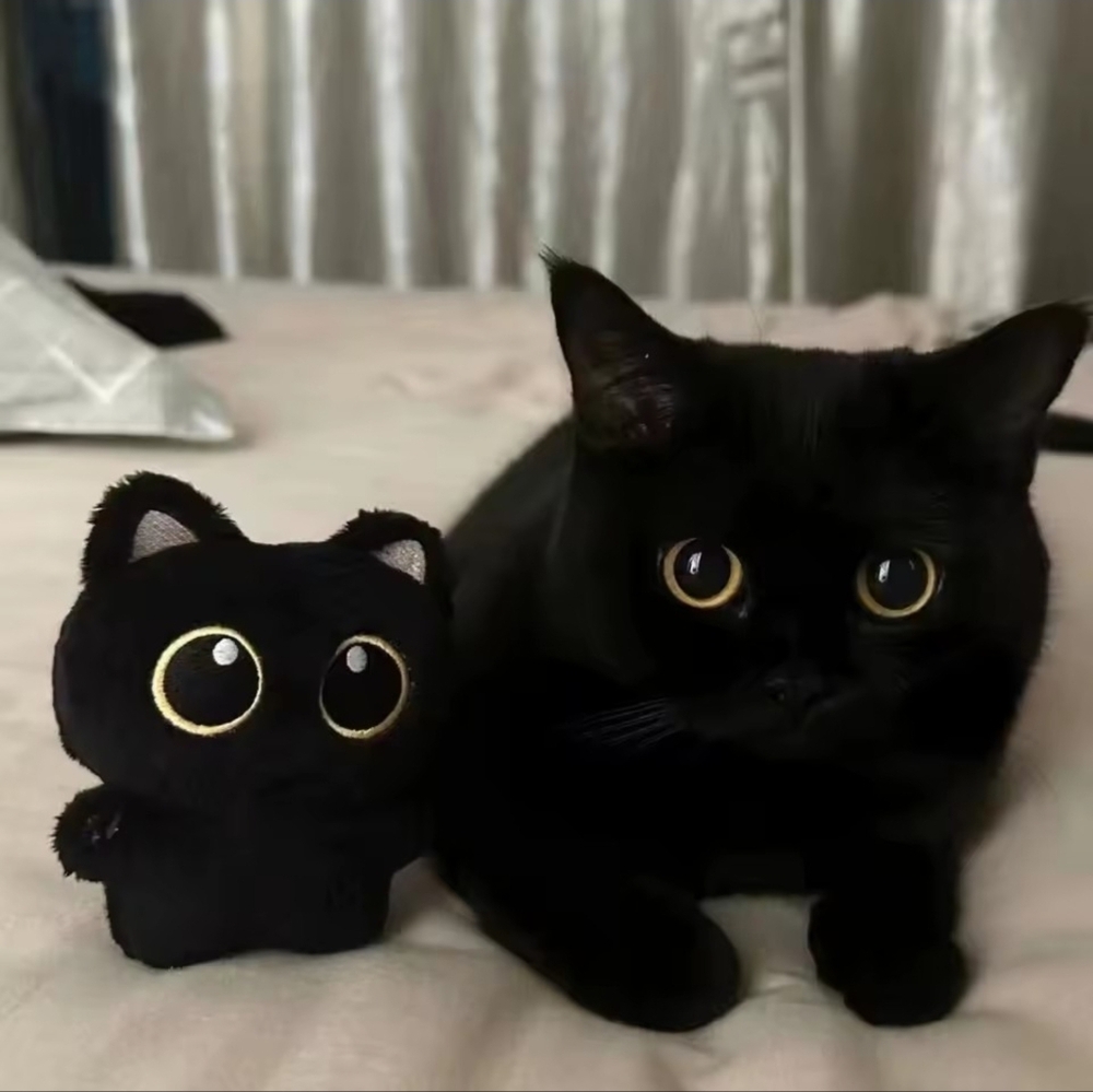 Black Cat Bag or Purse Charm
